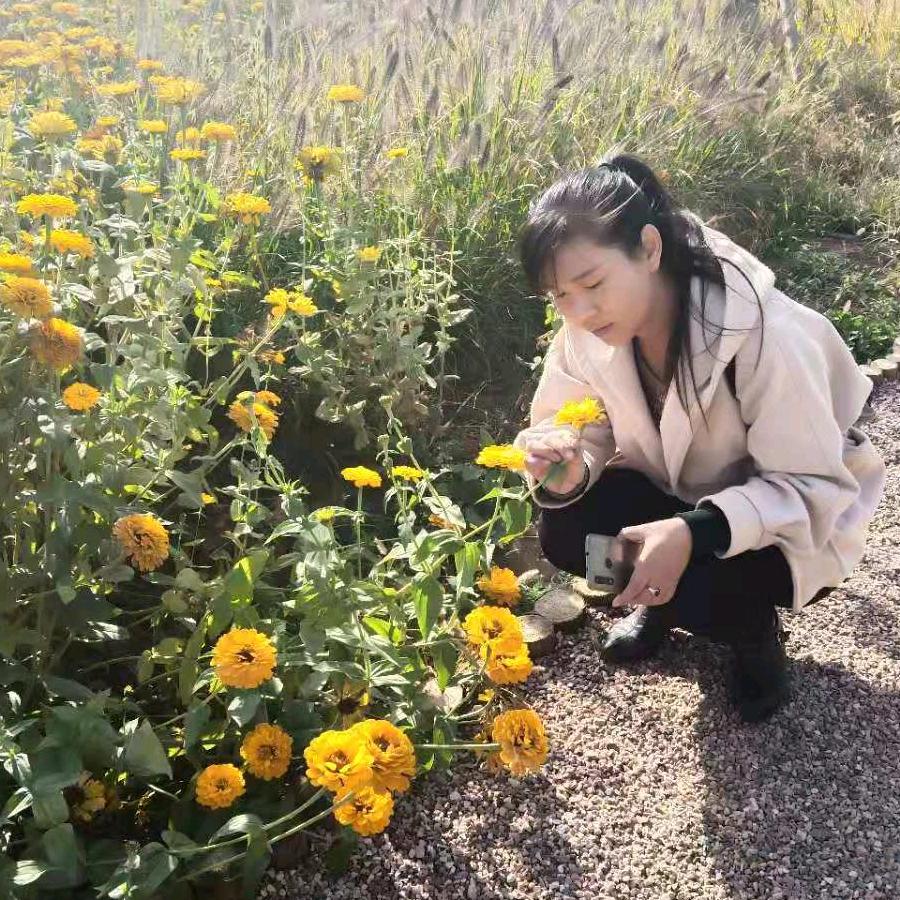 小杜阳光三联电器武安家电