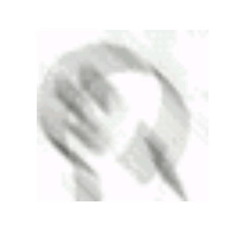 蒙牛纯牛奶