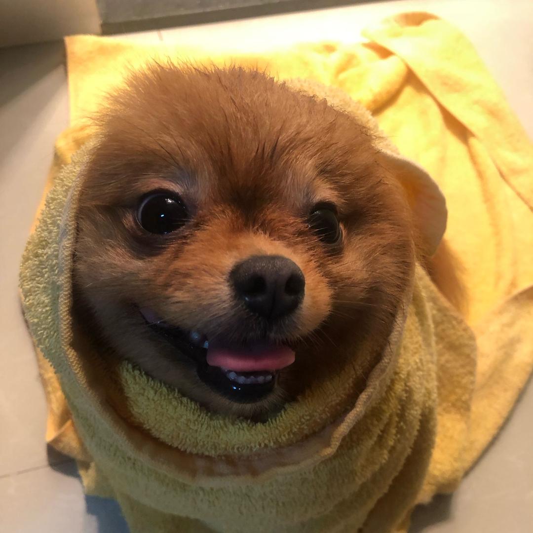 球爷