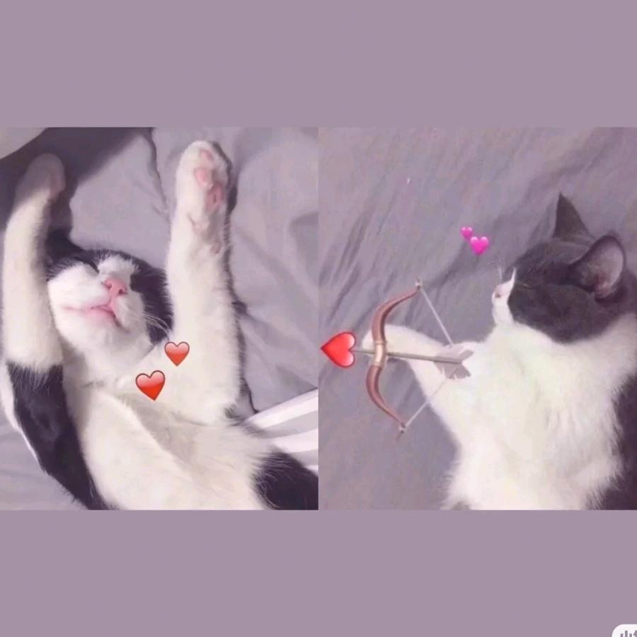 小幸运🌹🍎