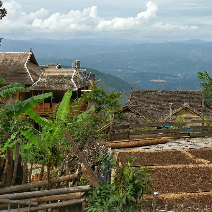 藏甘阁茶叶商行