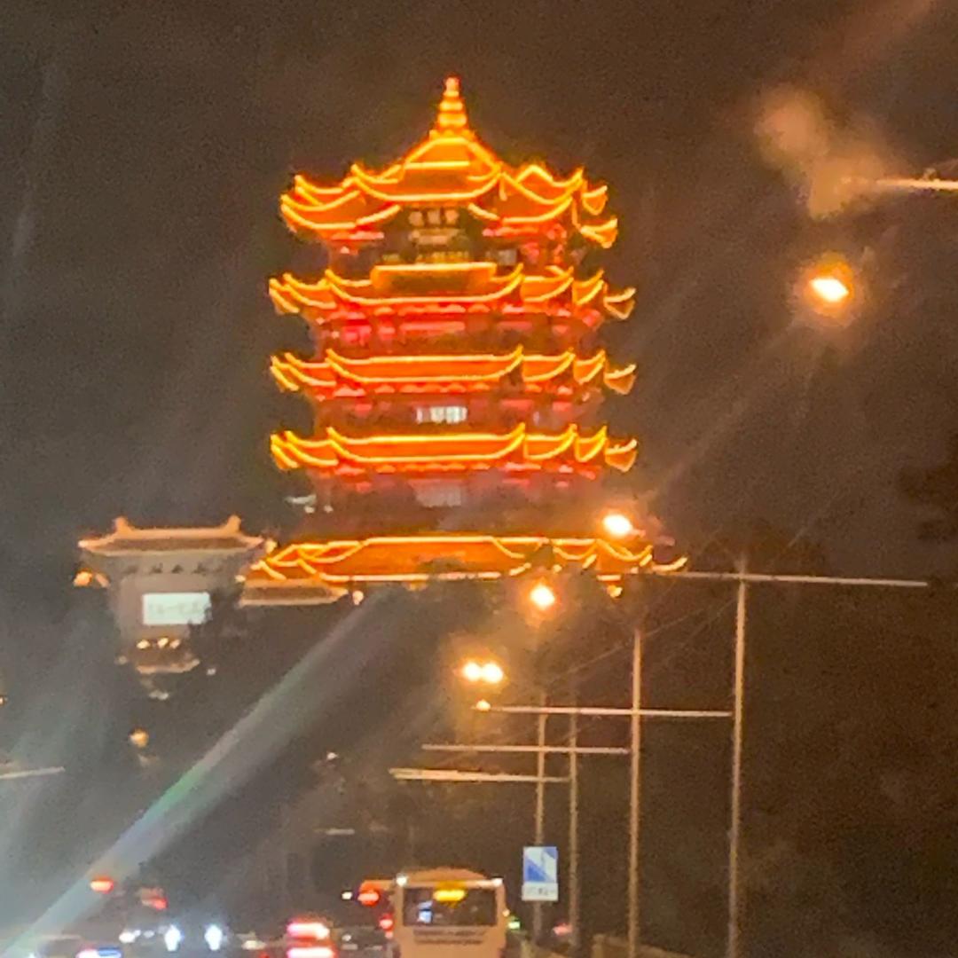 洪哥不红