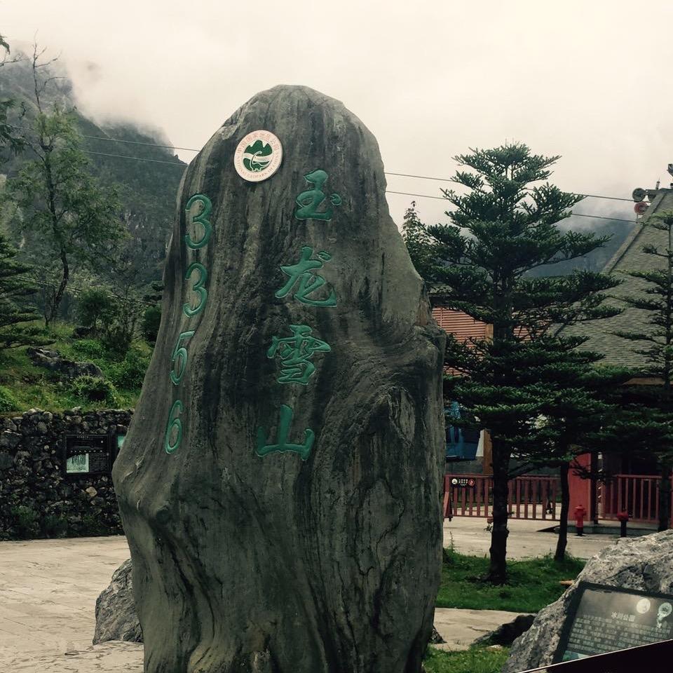 草莓味的风