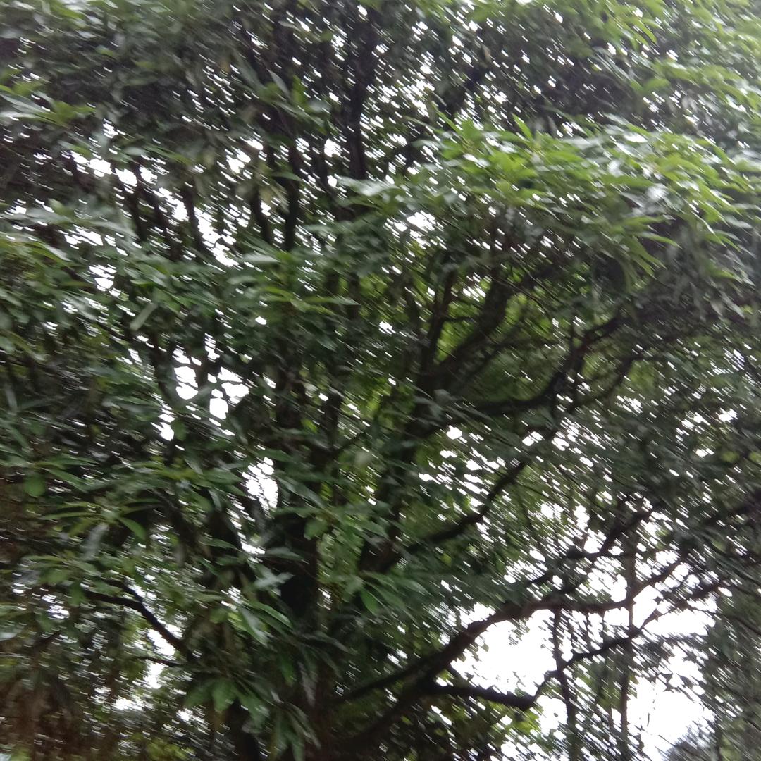 地道农民