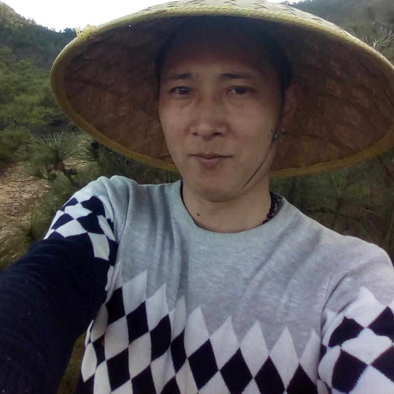 正杨