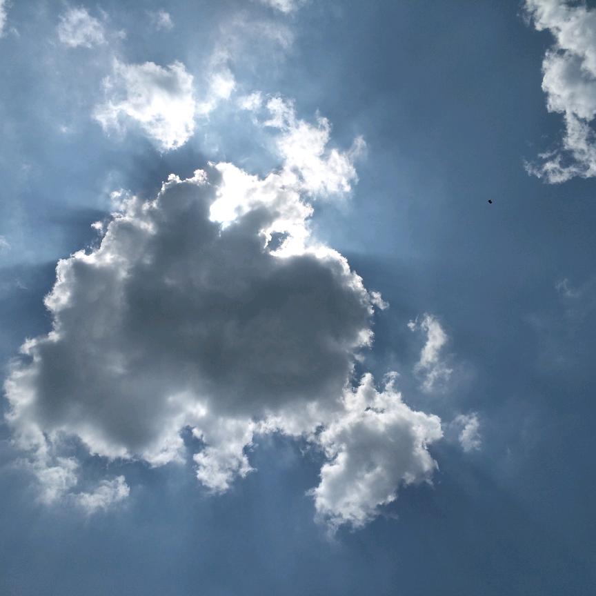 总有刁民想害郑