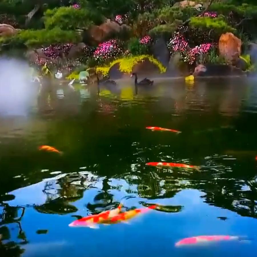 记得我，人要开心