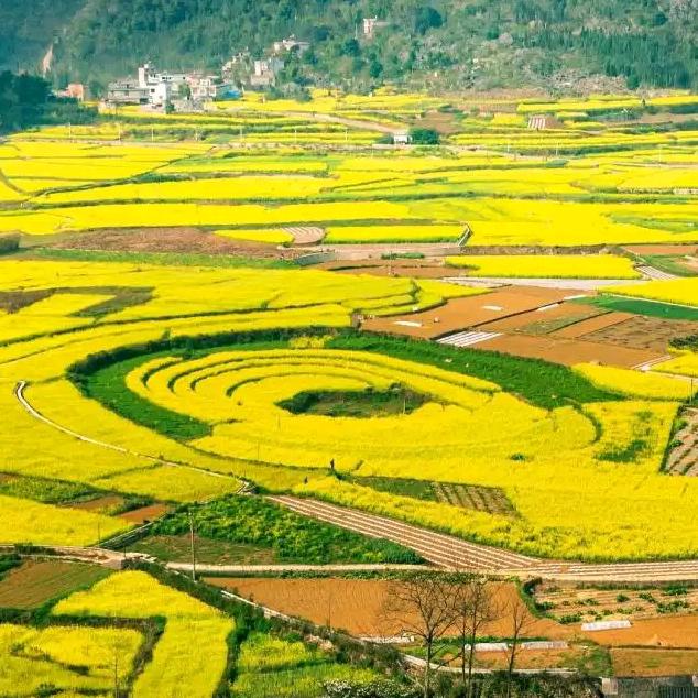 烟不抽！酒不会喝。饭一天三两面