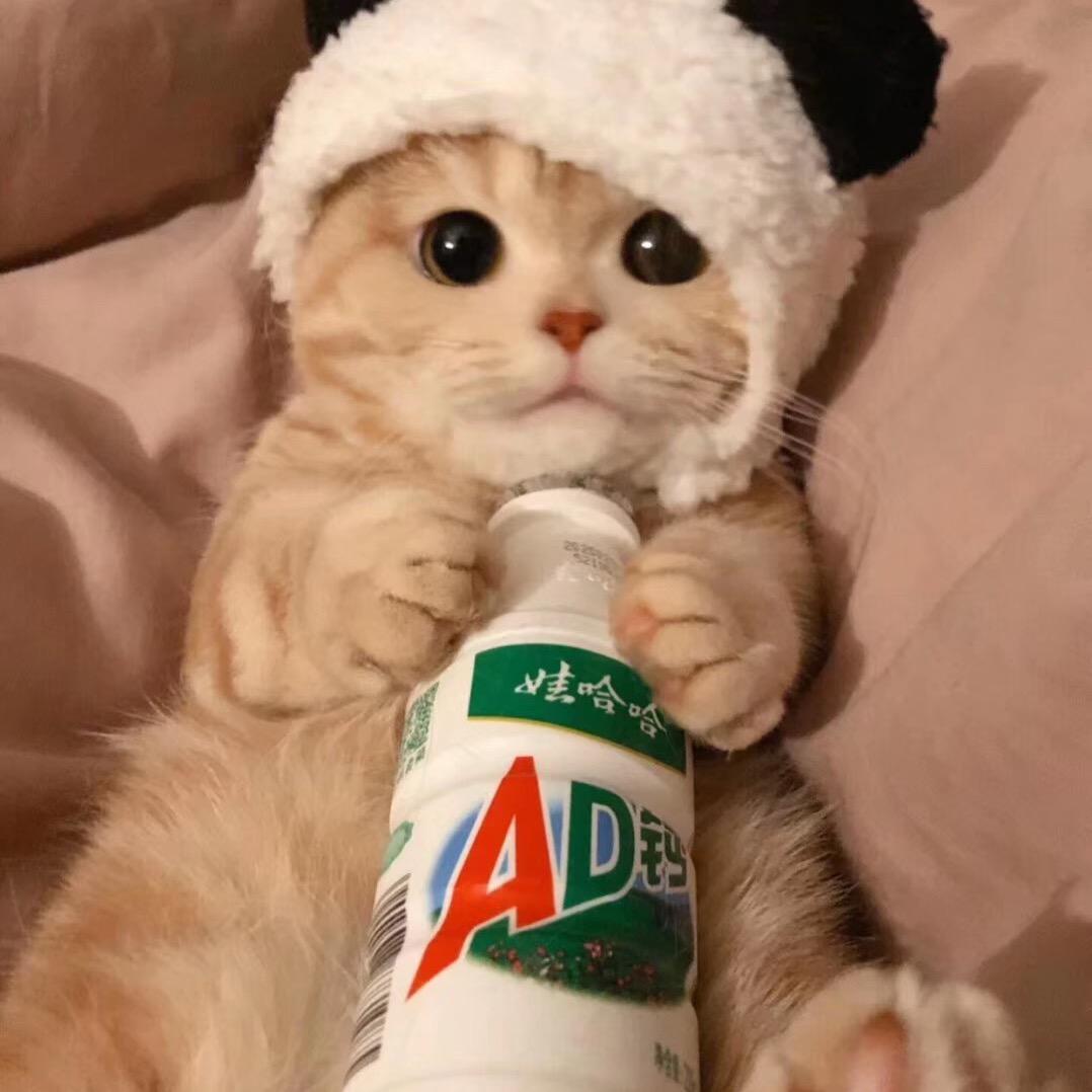 炮仗