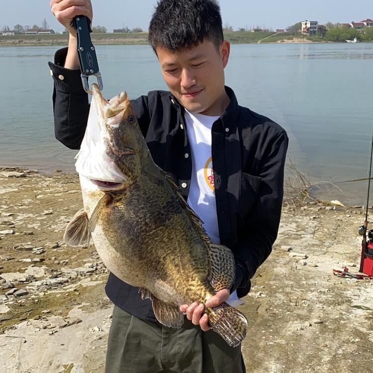 刘大大
