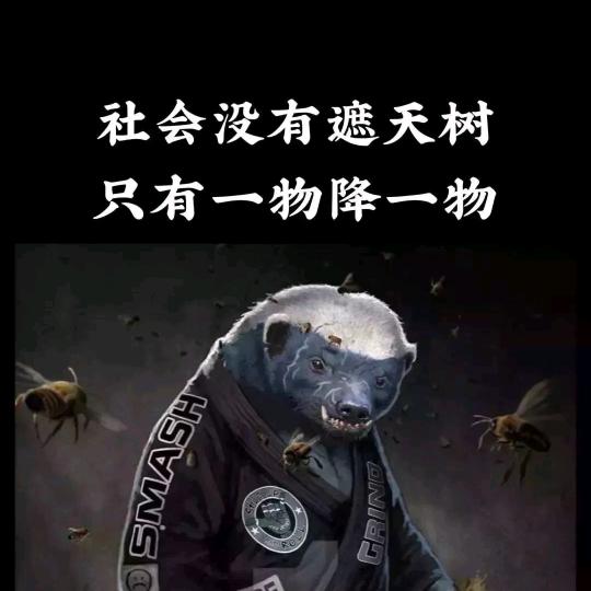 愿此生 不离