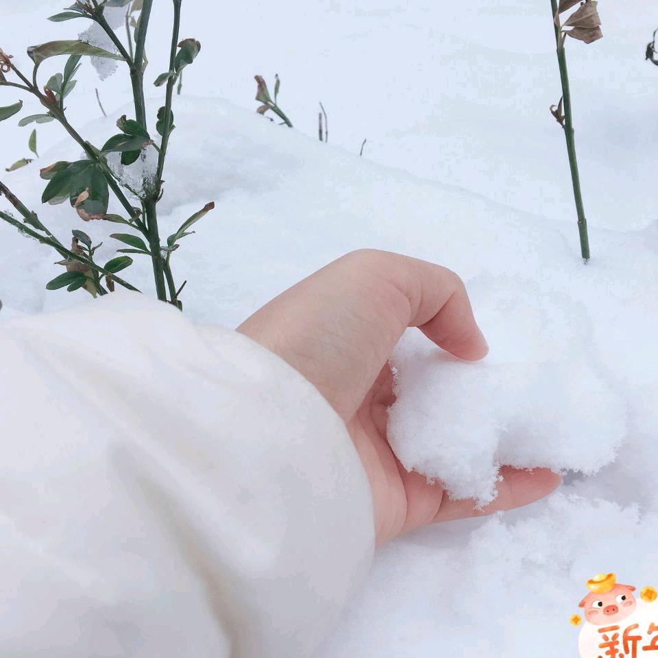 云姐