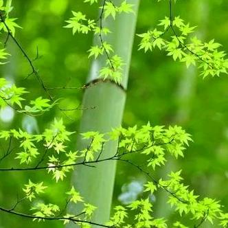 缘来是你