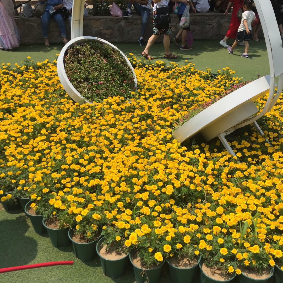 ༂风雨赶༃ༀ༒༽路人༽༼