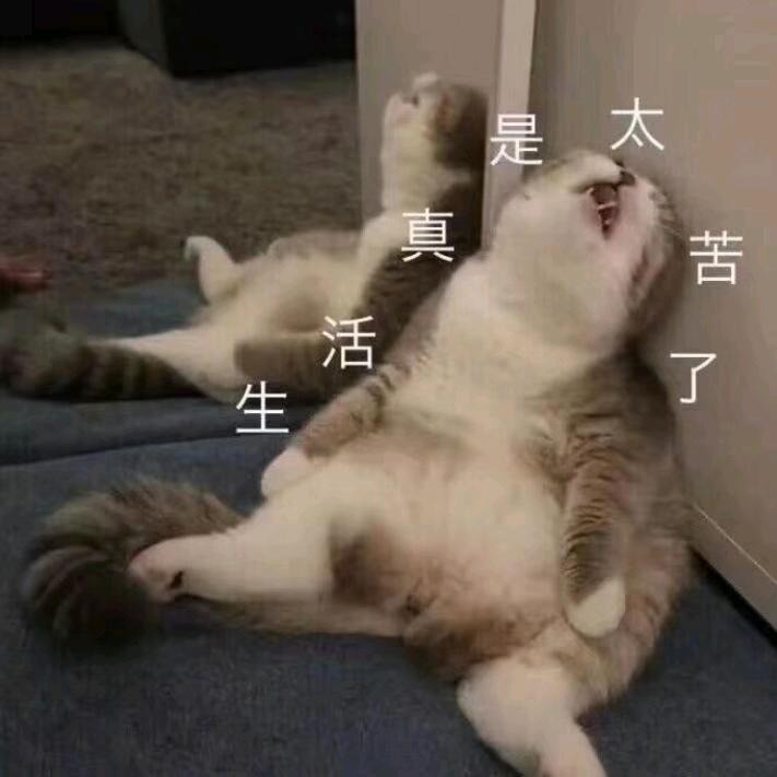 ，。？