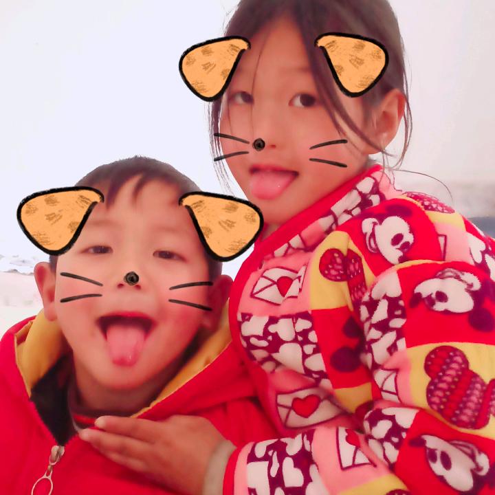 活宝