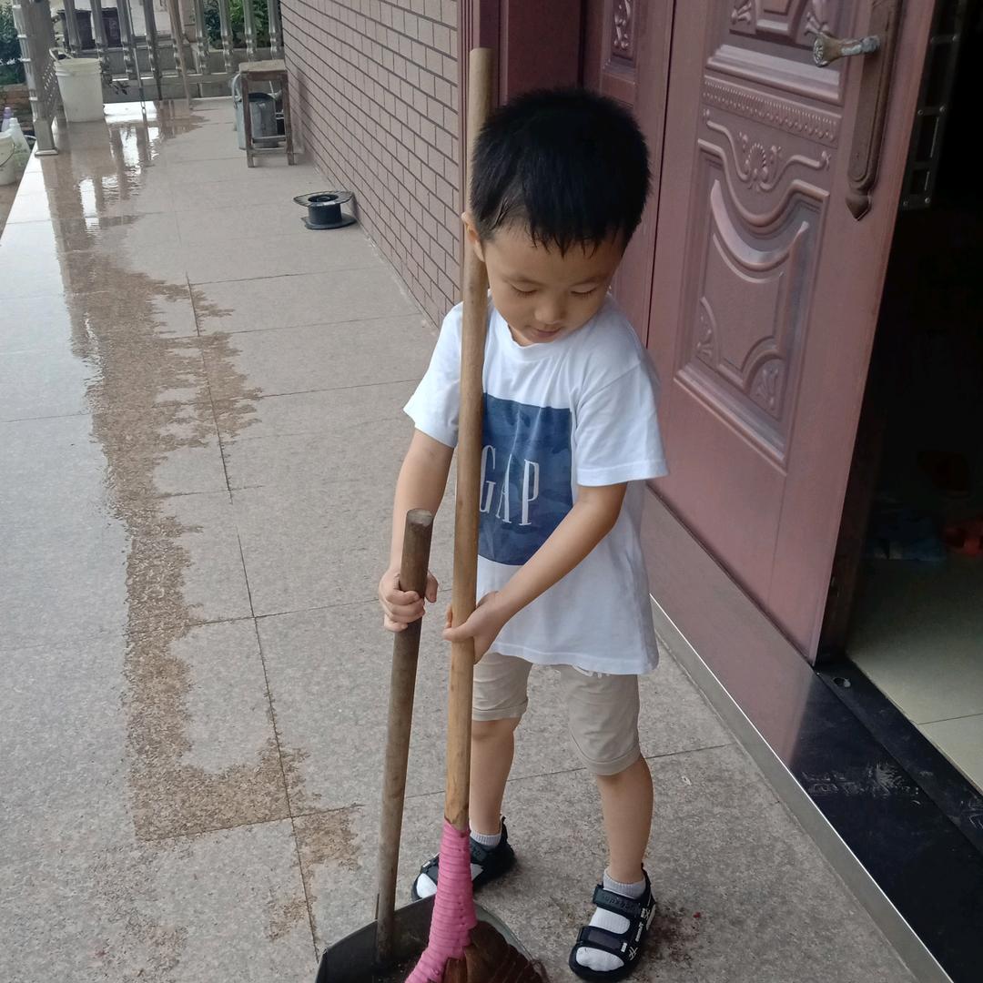 杨思