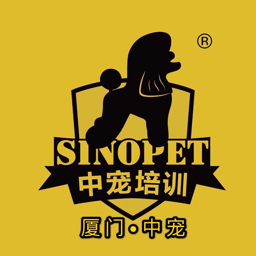 厦门中宠宠物美容培训