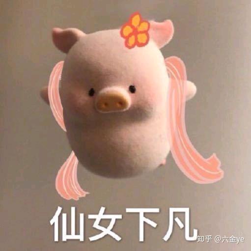 🌴🌻皮卡丘🌻🌴