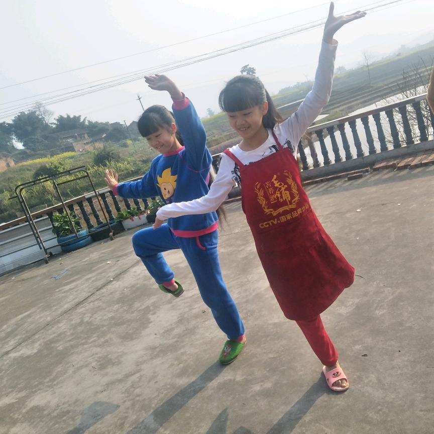 姐妹花艺术团