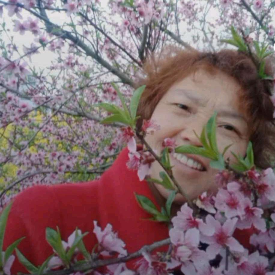 珠珠