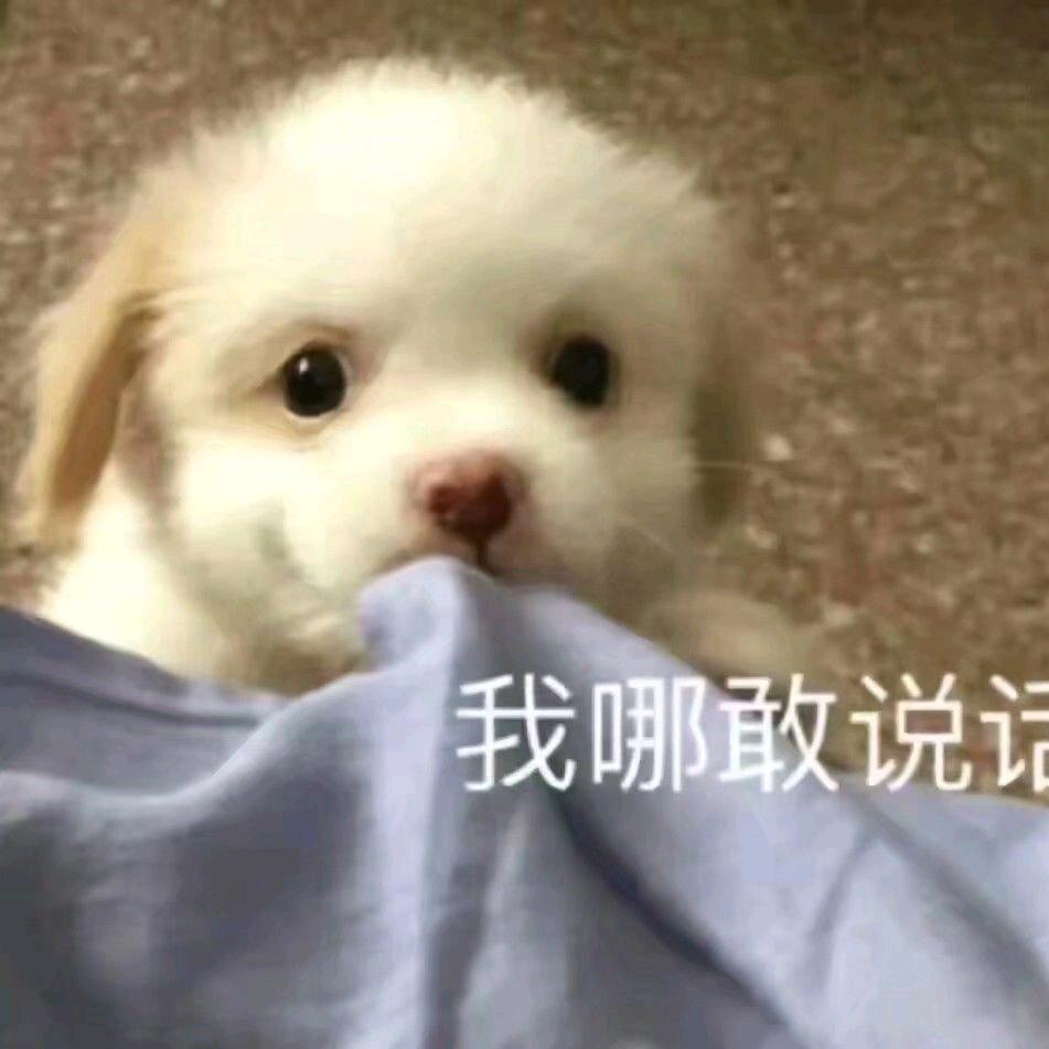 豆豆豆豆豆豆豆