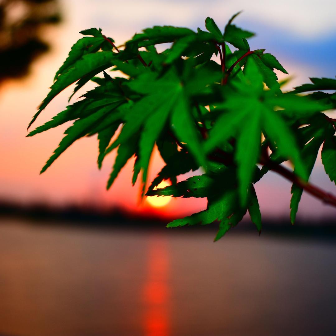 良辰好景