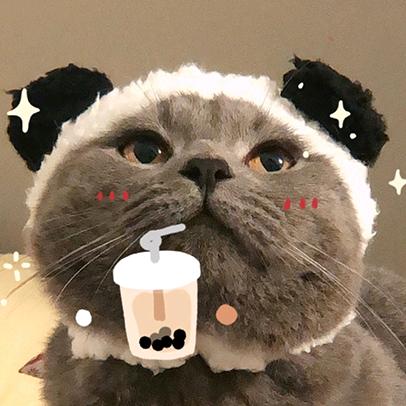 橙子味的仙女