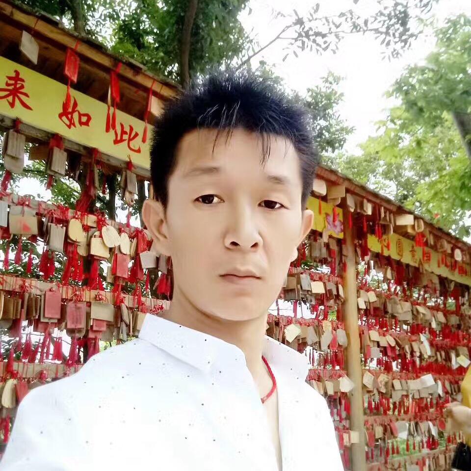龙霸天下