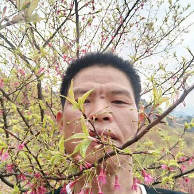 顺其自然💐🌹