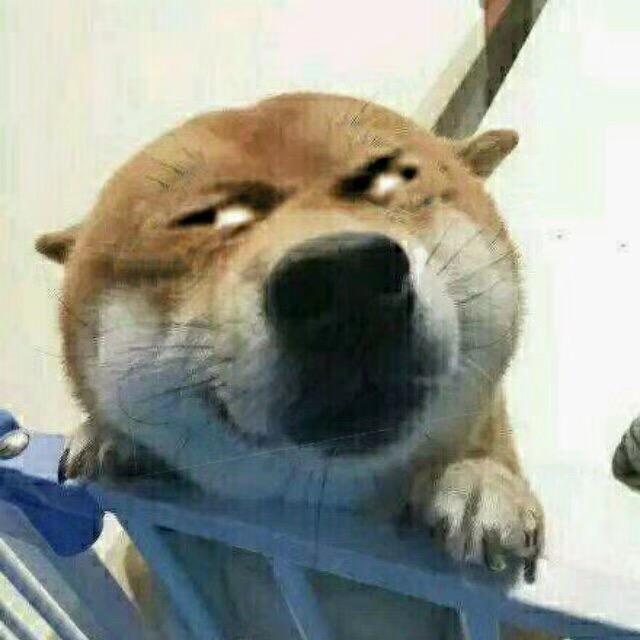 狼先森\_