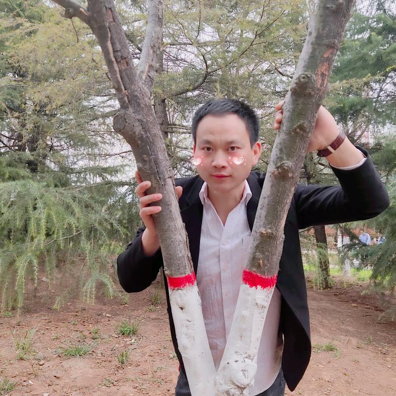 未来更好