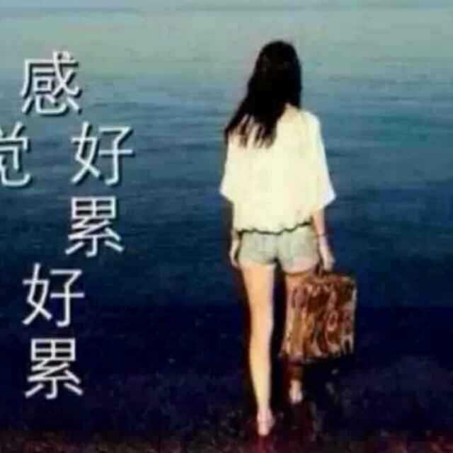 顾陶