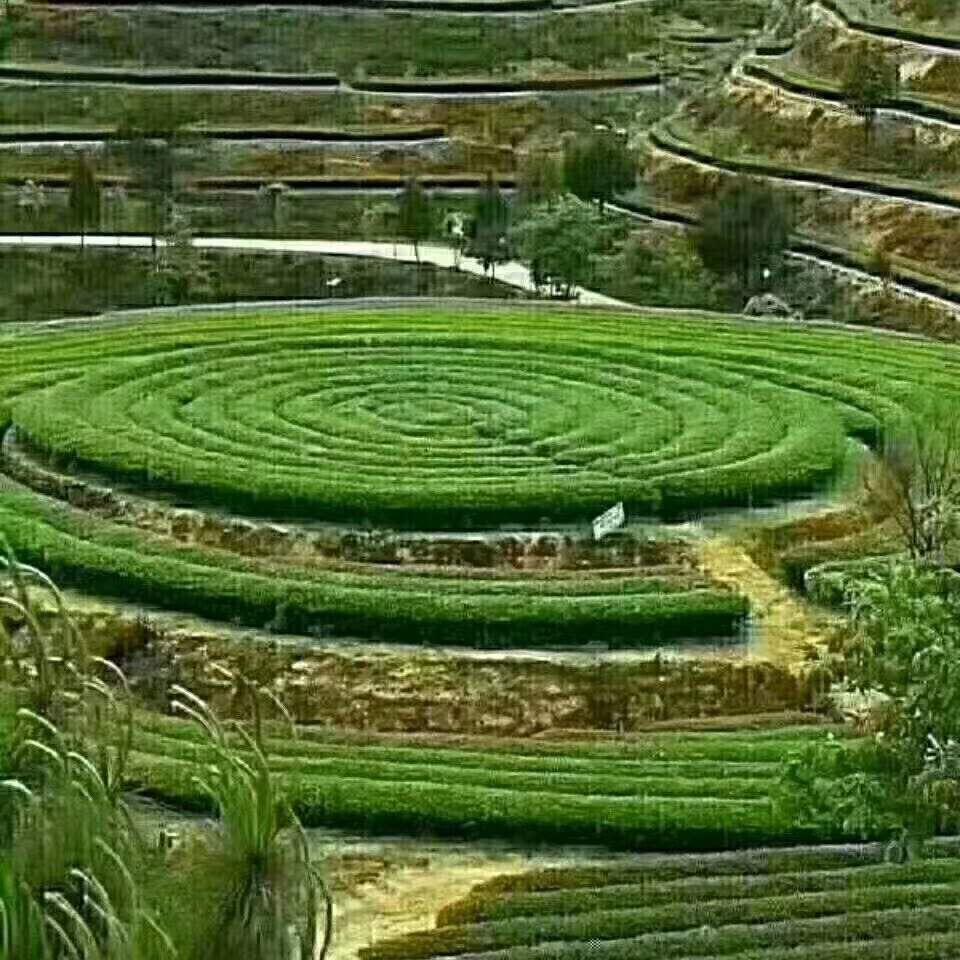 简俭