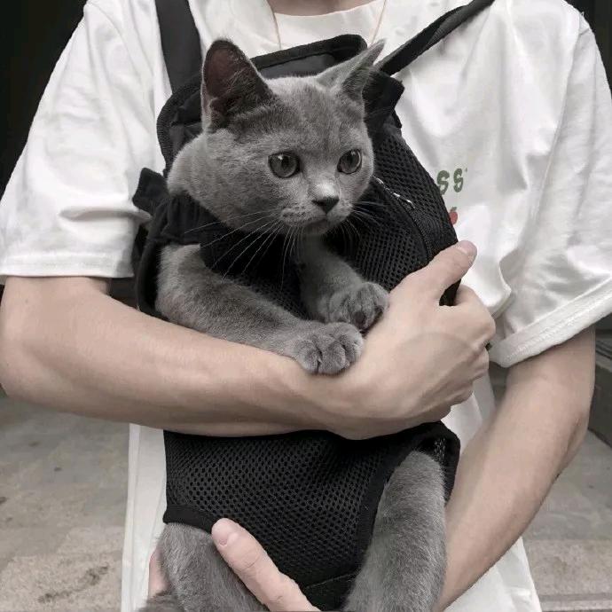 暮霭楚天阔