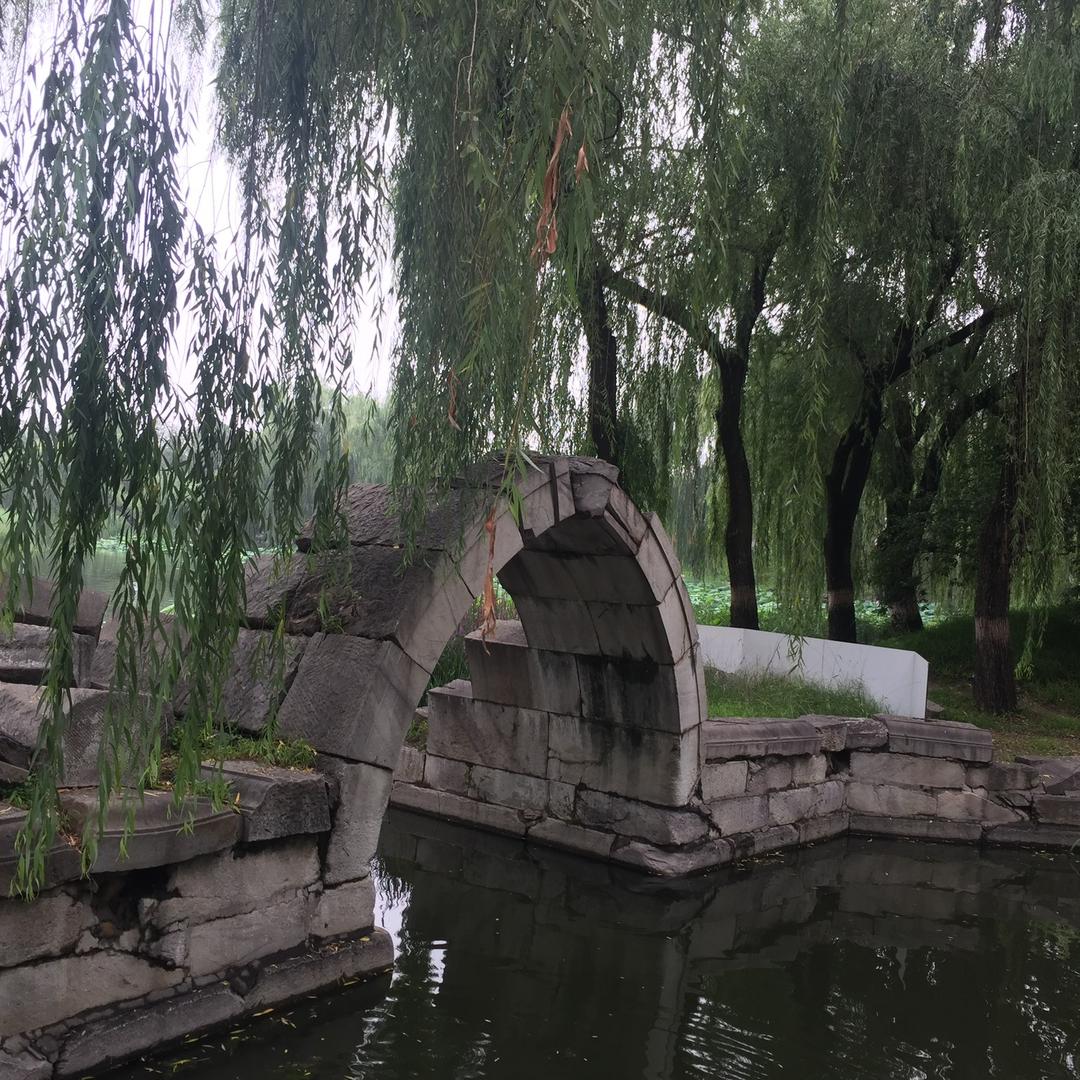 玉