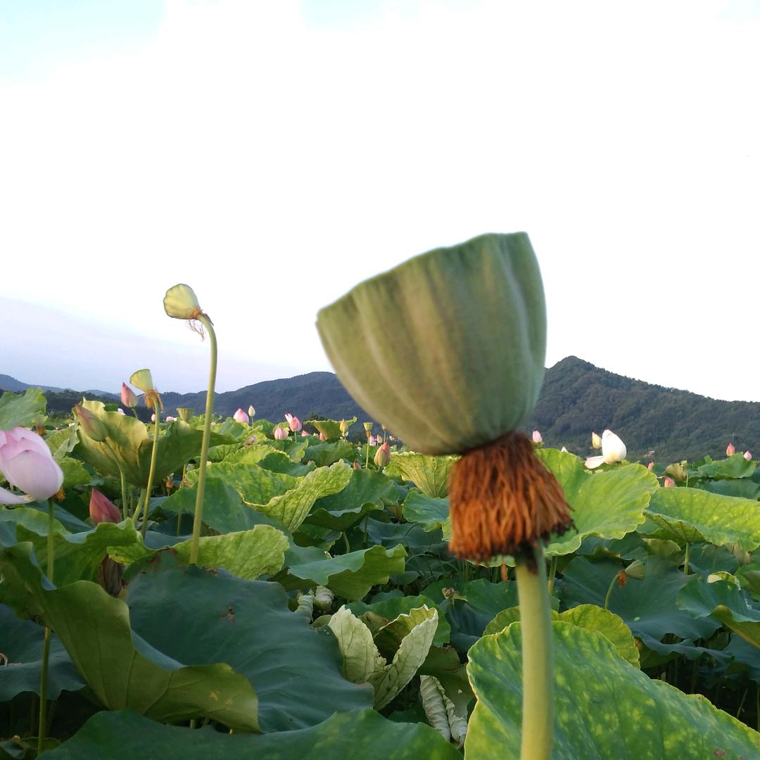 我就是我  不一样的烟火