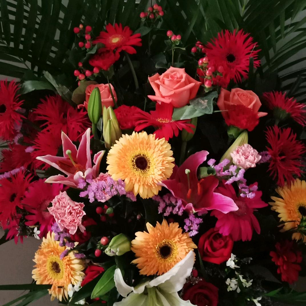 淄博技师学院王老师