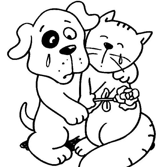 不点 甜桃 宠物超市综合体