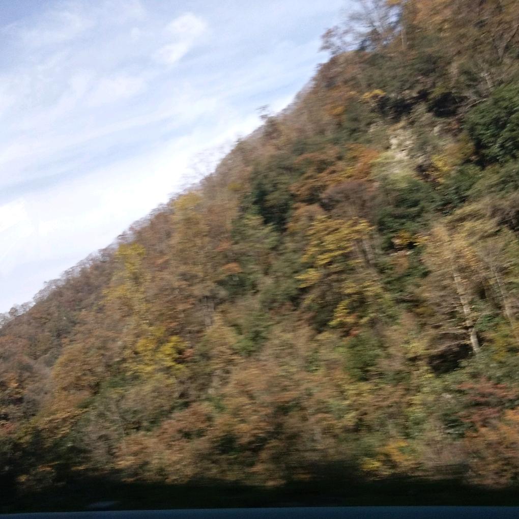 用户6878869836098顺邦