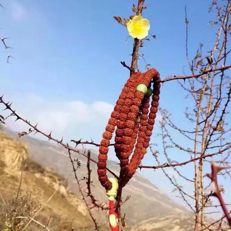 那年烟花