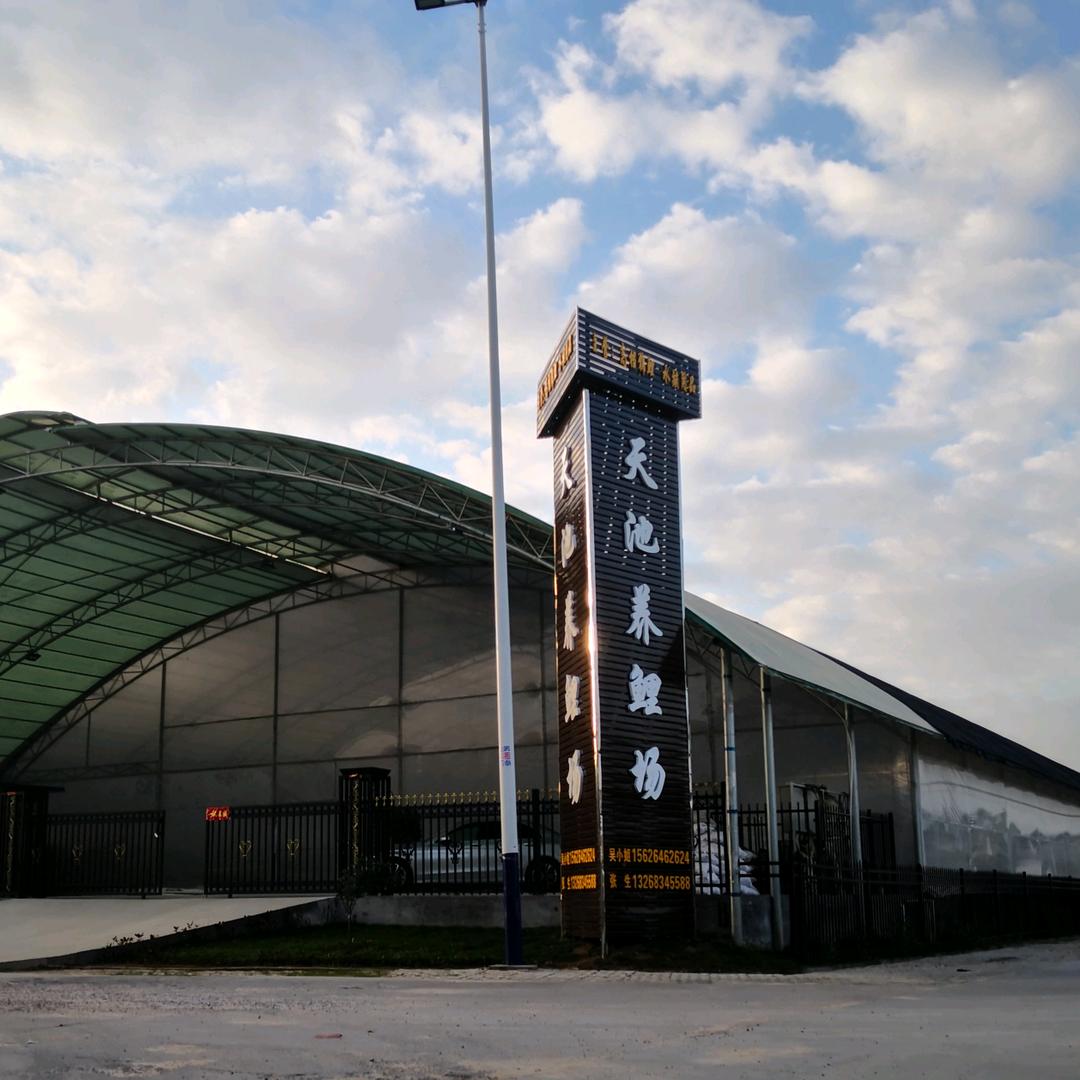 天池锦鲤-爱锦鲤甄选