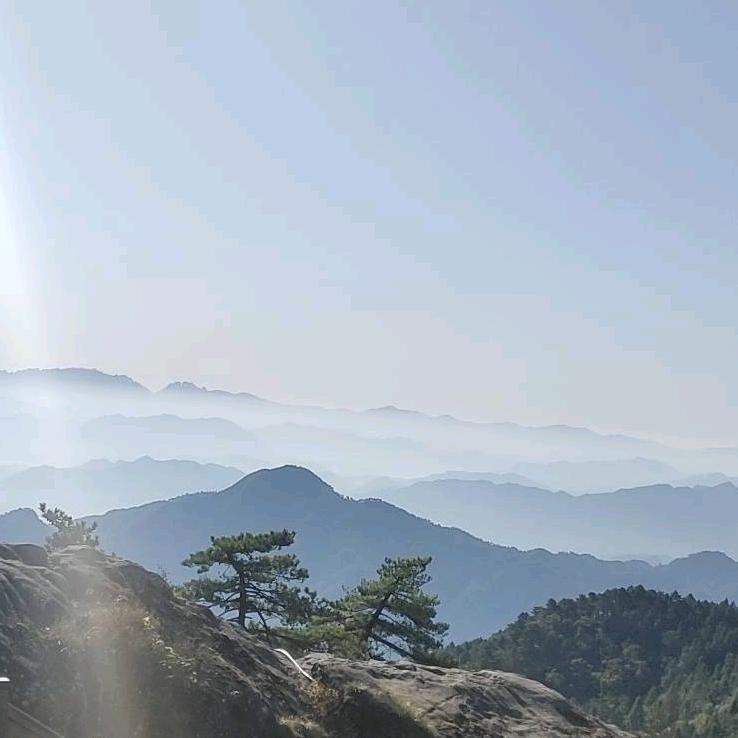 顺旺