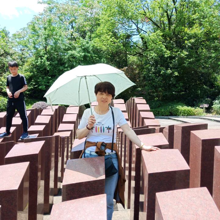 小燕子
