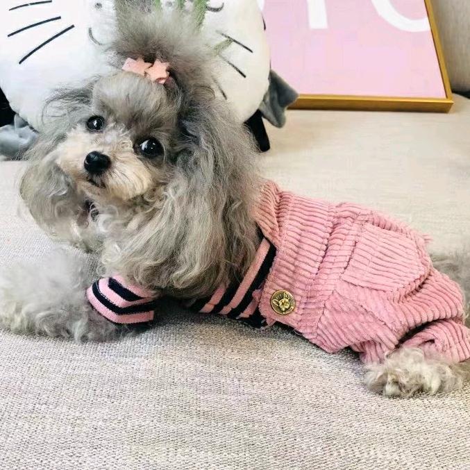 摇摇~菲菲🧡ྀི💛ྀི❤️ྀི