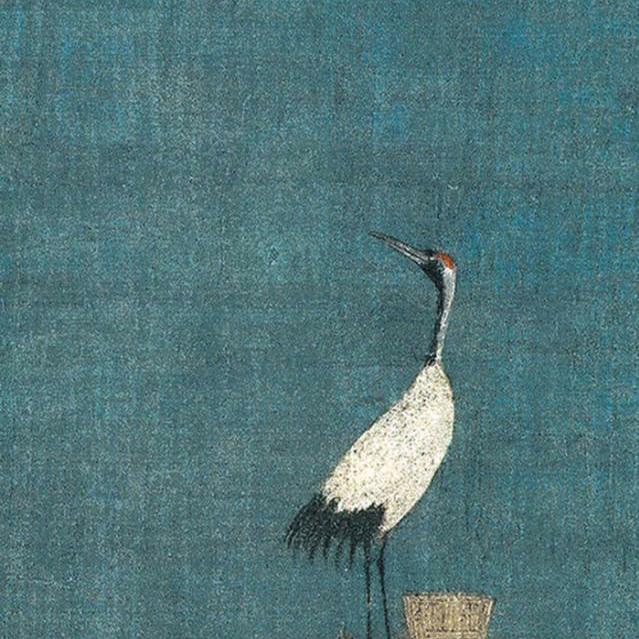 苔藓