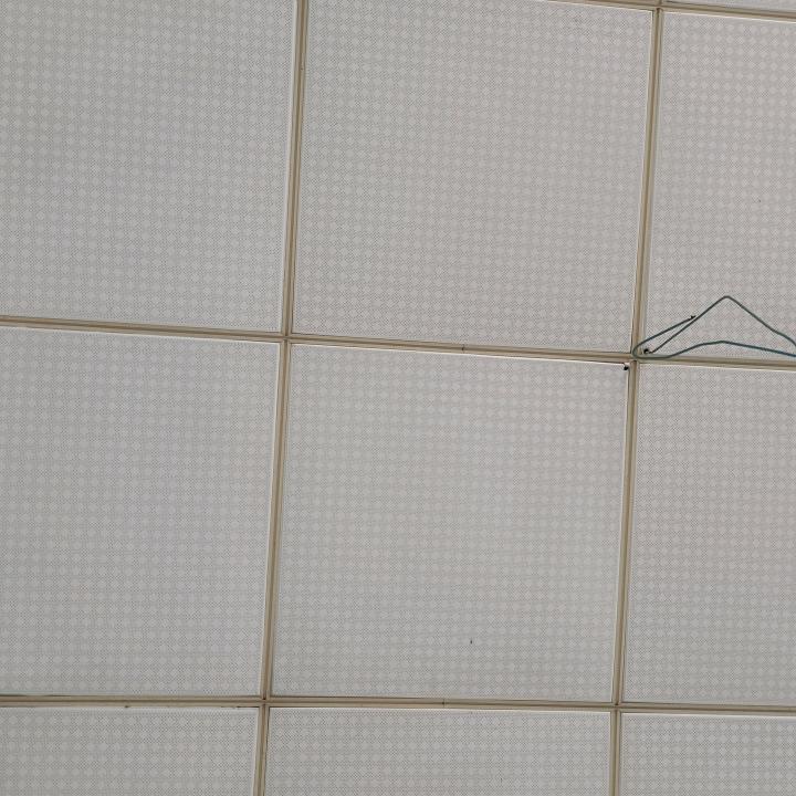 遗忘，，，