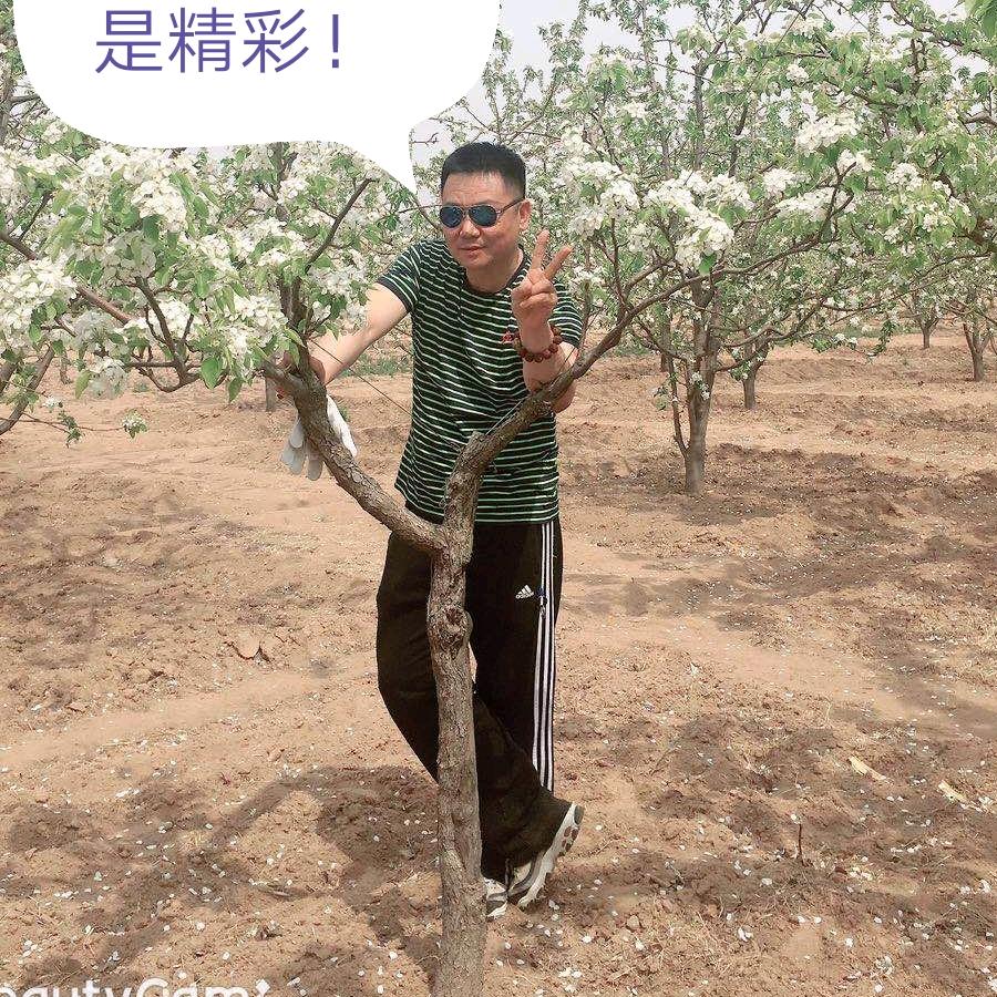 铁汉柔情