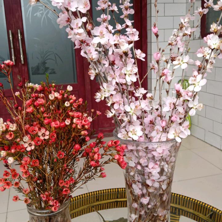 菊