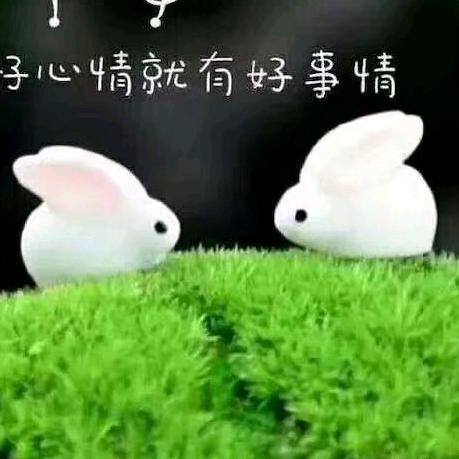 姽婳